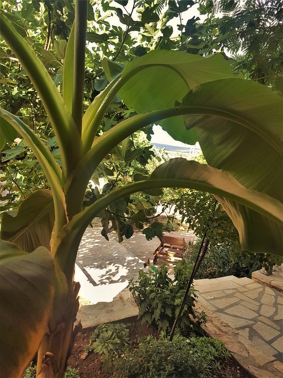 Apartments Villa Marija ゴルニ・カリン エクステリア 写真